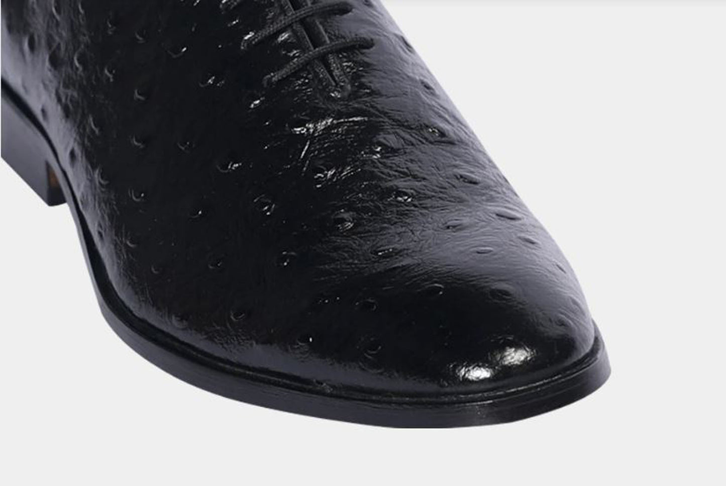 Handmade Black Color Genuine Leather Ostrich Skin Stylish Lace Up Shoes For Men's
